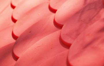 Tippacott plastic roof costs