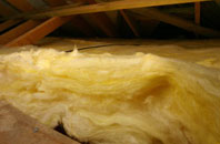 Tippacott pitch roof insulation